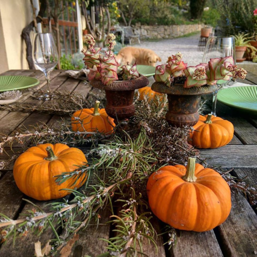 La Citrouille Pumpkin