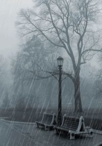 halloween-tale-rainy-park