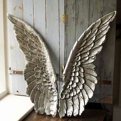 wings