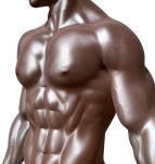 bodybuilder-331670_1280