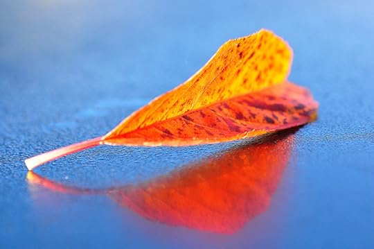 8479559443_6ab58e2e01_z