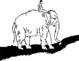 stick to your habits