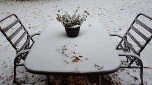As I wrote this post, it snowed! My, my. Seems early.