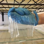 Harvesting the raw bio-paper from its growth medium. It is almost completely clear due to holding 200x its weight in water.