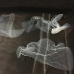 Some very thin sheets of bio-paper floating in the tank. When dry, these will be ephemerally thin.