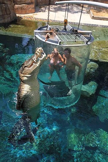 crocodile cage diving