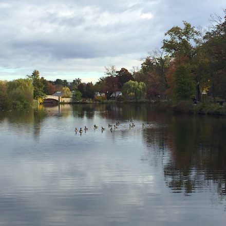 2016-10-25_08-55-57_151