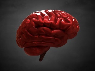 In-Line_Why_the_Blood_Brain_Barrier_Matters_11.01.16