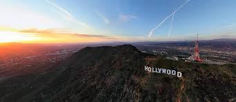 hollywoodhidingleach