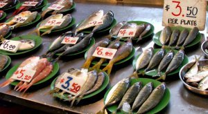 Fish Market
