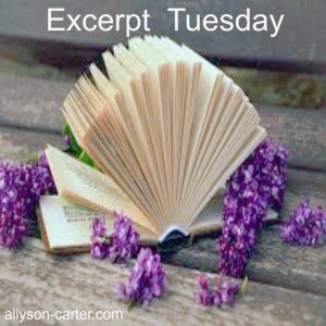 Excerpt Tuesday With Jannette Fuller