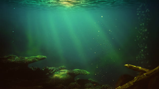 submerged1
