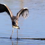 img_3955