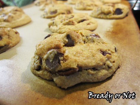 Bready or Not: Chocolate Chip Pecan Pumpkin Pudding Cookies 