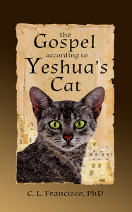 YeshuasCatCoverVsm
