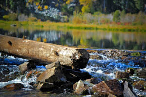 lake-tahoe-1697573_960_720