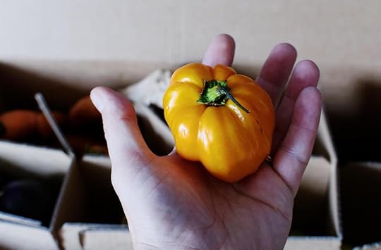 Paprika