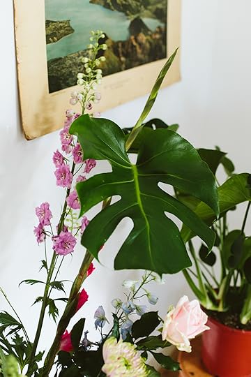 urban jungle