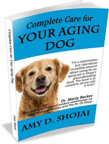 Complete Care for Your Aging Dog