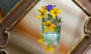 photo credit: Captured Heart Repeating Joy via photopin (license)