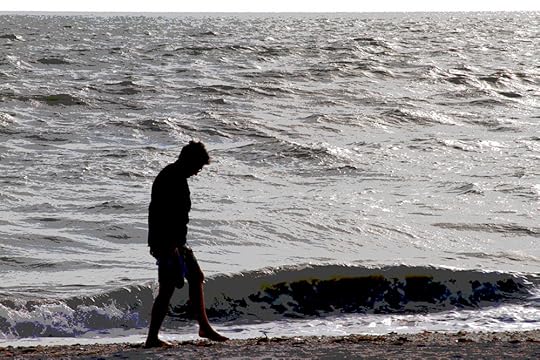 shelling Sanibel island sheller's hunch