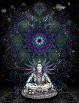 68ab2d572654667b77ea2e6ee6e79a7e