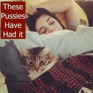 pussies-have-had-it