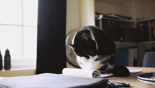 Why Even Cats Need to Become Better Writers (and Maybe You Can, Too)