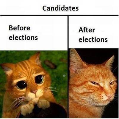 politics