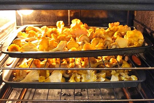 chanterelles-roasting-batches
