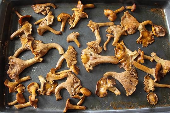 chanterelles-roasted-done
