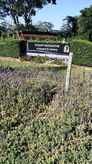mount-tamborien-winery