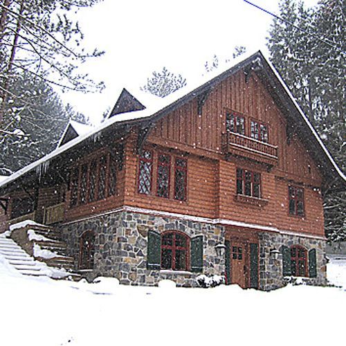 swiss chalet style home: 