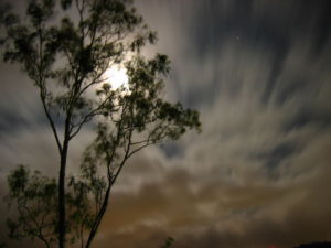 Potent and moody