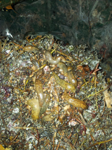 Welcome to my world.