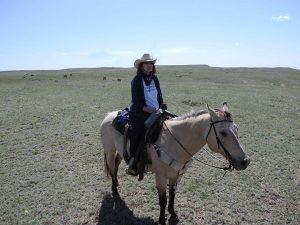 Colorado Cattle Company