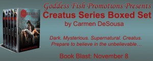 mbb_tourbanner_creatusseries