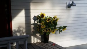 sunflowers-on-the-porch