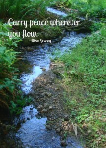 carrypeace