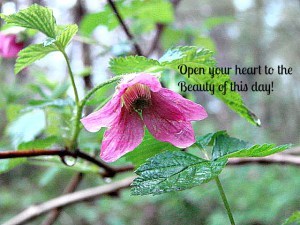 openheartbeauty2