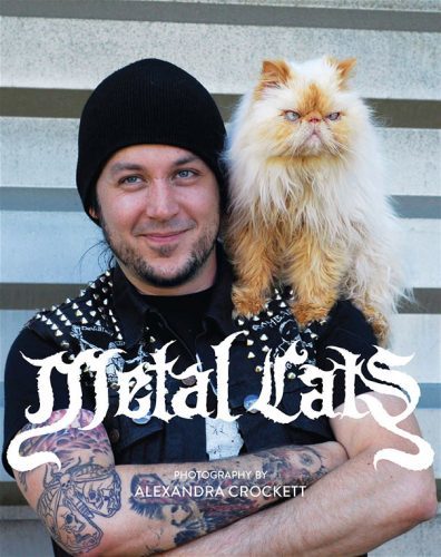 metal-cats steffmetal