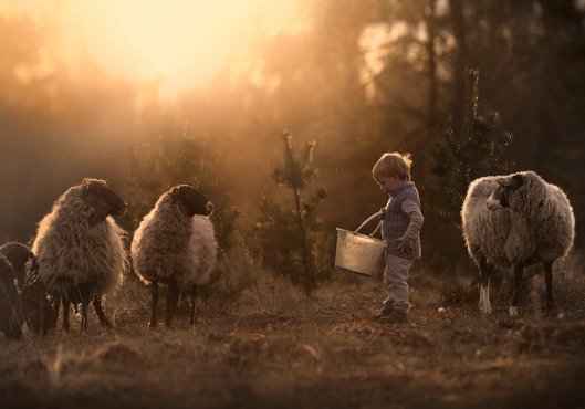 elena-shumilova1