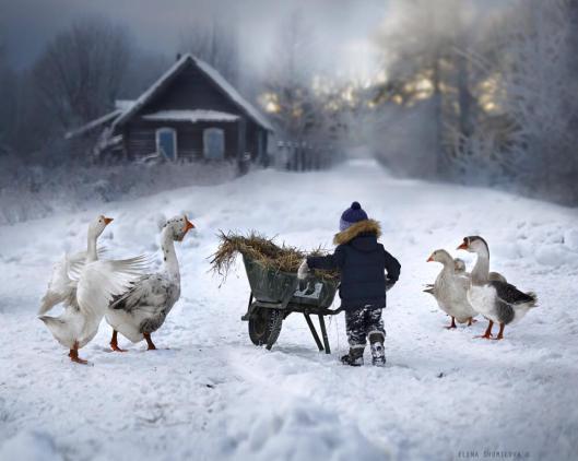 elena-shumilova4