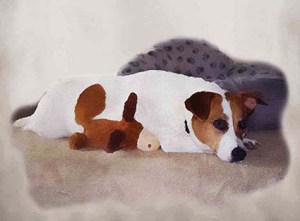 Lucy Vampoosy and a moose