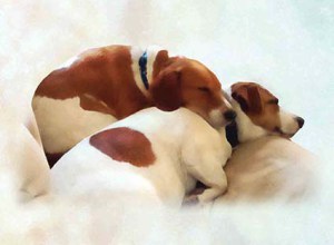 Lucy Vampoosy and Farty Bum Ralph