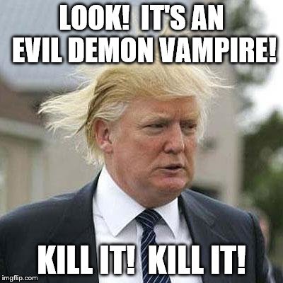  photo 1dukg2_zpsthmn8l2e.jpg