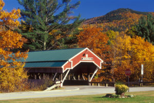 jackson-bridge-fall