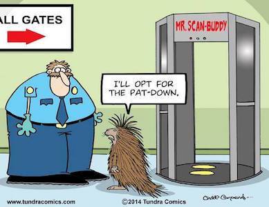 13346406_1204556469556694_8429606766600505135_n