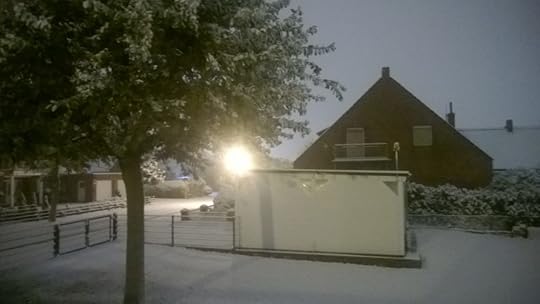 Snowy meadow