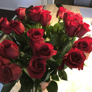 roses-001
